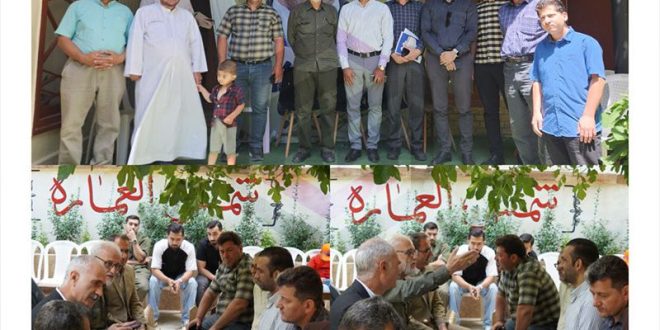 ستاد قالیباف